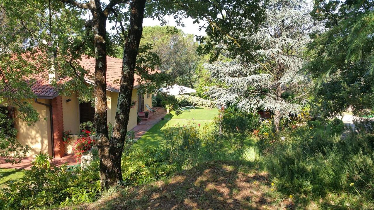 Villaspino Capolona Ngoại thất bức ảnh
